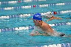 Swimming & Diving vs Babson  Swimming & Diving vs Babson College. - Photo by Keith Nordstrom : Wheaton, Swimming